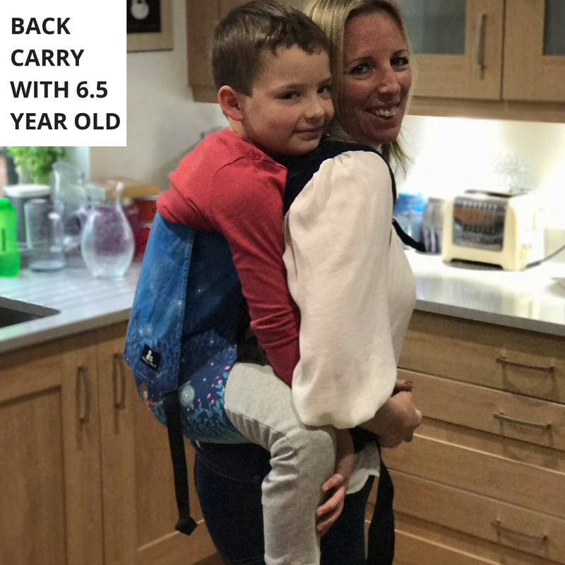 Sleepy Nico Toddler Carrier Review