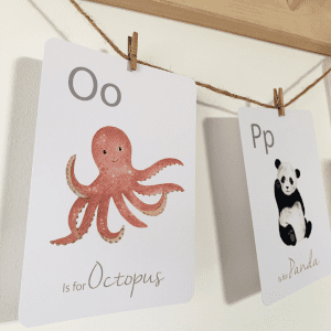 Little Roglets Alphabet Flash Cards